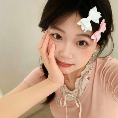 领航人